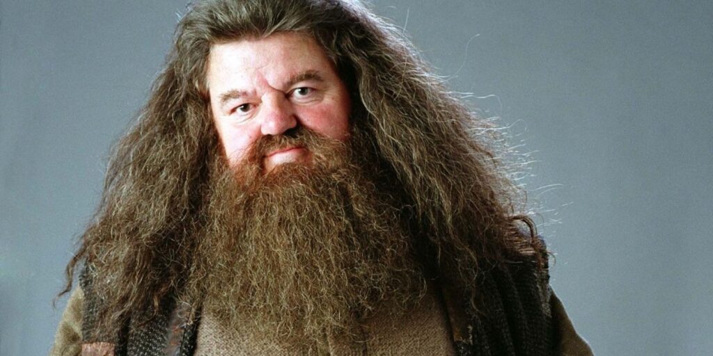 Megvan, ki lesz a Harry Potter sorozatban az új Hagrid