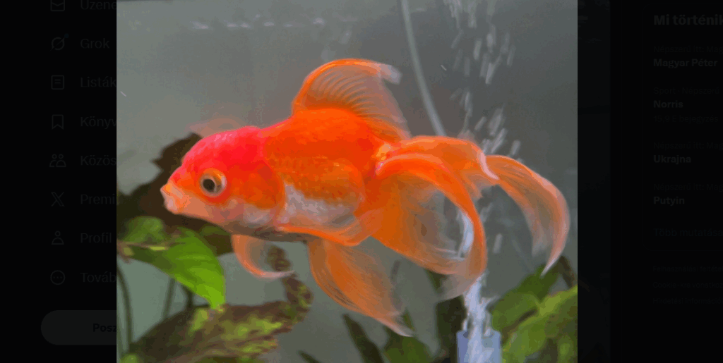 3 évesen elhunyt a hal, aki legyőzte a legdurvább Elden Ring bosst