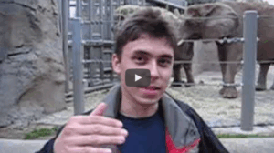 Megtörtént: Múzeumba került a Youtube első videója