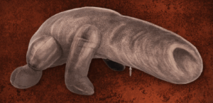 Nagyon fura Silent Hill plüss jelent meg - Nem cuki és para