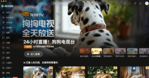 Kínában saját streaming-szolgáltatást indított háziállatok számára