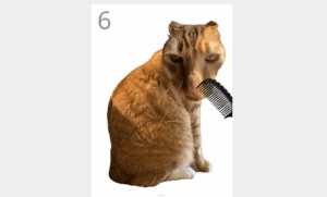 Ez a böngészős, macskát fésülgető játék addiktív, de idegesítő